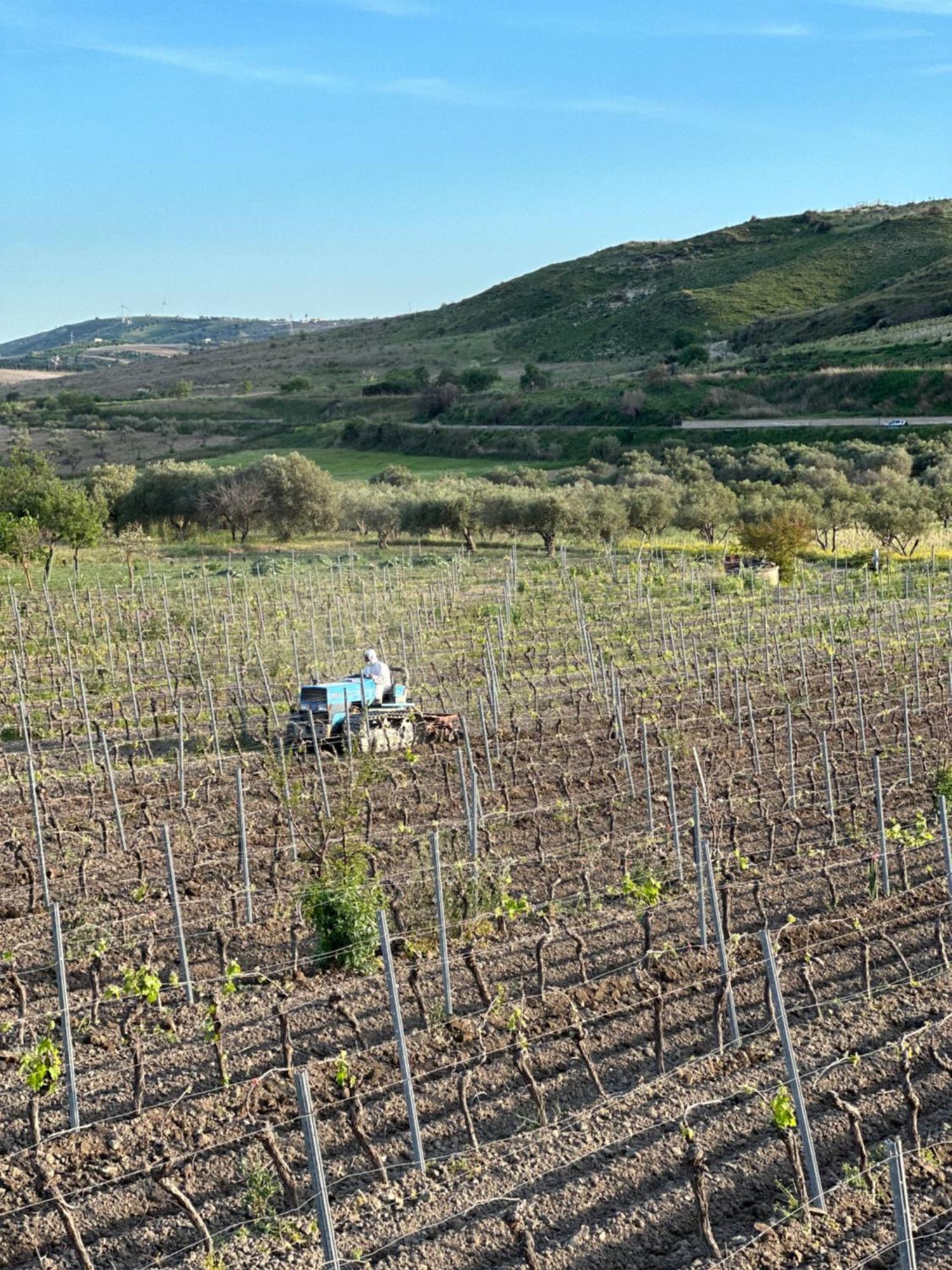 Akragaroom Agrigento Eksteriør bilde